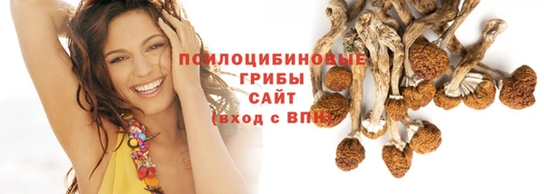 герыч Алексин