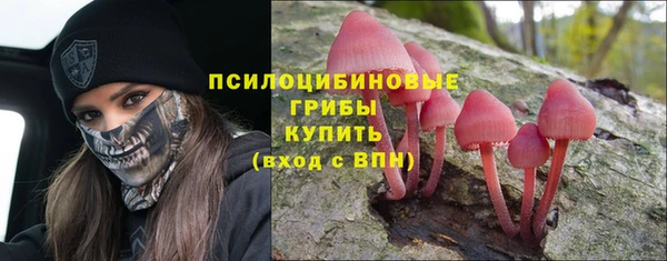 герыч Алексин